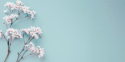 AI generated Delicate cherry blossoms on a serene blue background, symbolizing spring and renewal, ideal for spring festivals and creative projects photo