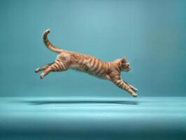 AI generated ginger cat on a teal background jumping in a dynamic pose photo