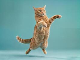 AI generated ginger cat on a teal background jumping in a dynamic pose photo