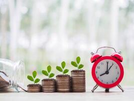 hora es dinero concepto. rojo alarma, plantas creciente arriba en apilar de monedas el concepto de ahorro dinero, financiero, inversión y negocio creciente. foto