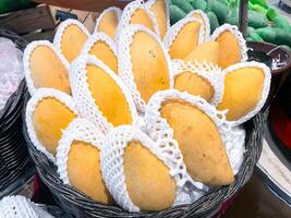 Many fresh yellow ripe mangoes for selling in the supermarket. photo