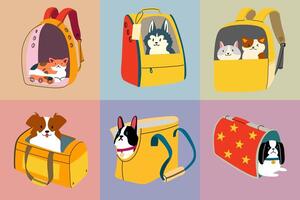 Transportation of pets. Transportation of animals. Cats and dogs are sitting in bags. vector