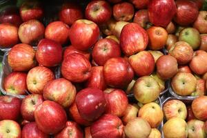 Vegetables, fruits and berries are sold at the bazaar in Tel Aviv photo