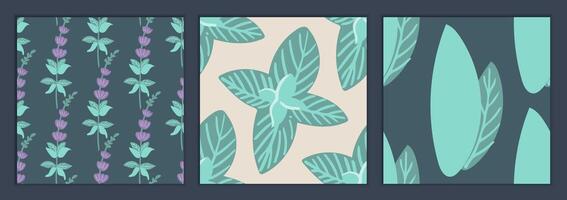 Set of mint-colored textile patterns. Mint herb ornament. For textiles, packaging and wrapping paper vector