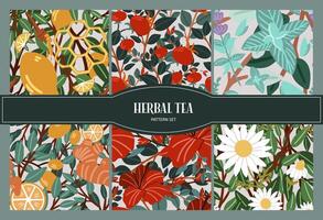 A set of seamless patterns of herbal teas. Hibiscus tea, lemon and ginger, mint, chamomile. vector