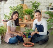 Portrait gardener young Asian man woman two person sit floor and smiling looking hand holding help decorate tree leaf green in calm work shop home plant white wall. hobby job happy and care concept photo