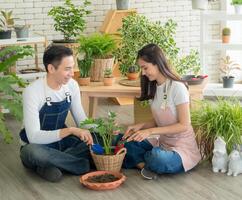 retrato jardinero joven asiático hombre mujer dos persona sentar piso y sonriente mirando mano participación ayuda Decorar árbol hoja verde en calma trabajo tienda hogar planta blanco pared. pasatiempo trabajo contento y cuidado concepto foto