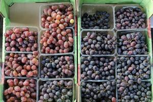 Vegetables, fruits and berries are sold at the bazaar in Tel Aviv photo