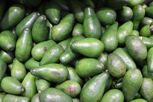 verduras, frutas y bayas son vendido a el bazar en tel aviv foto