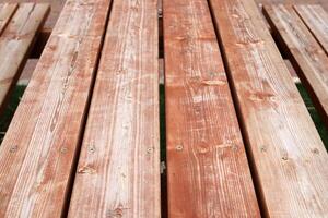 Texture of wood and tree bark. photo