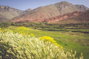 Marruecos, alto atlas montañas, agrícola tierra en el fértil estribaciones cerca ansi. foto