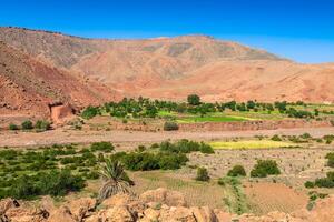 Village in the Ouarzazate, Morocco, Africa photo