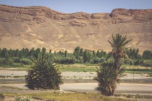 Wide view of canyon and cultivated fields and palms in Errachidia Valley Morocco North Africa Africa photo