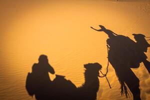 Caravan camels walking shadows projected over orange sand dunes photo