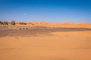 Sand dunes in the Sahara Desert, Merzouga, Morocco photo