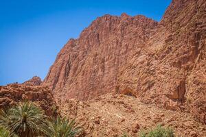 todgha garganta, un cañón en el alto atlas montañas en Marruecos, cerca el pueblo de tinerhir. foto