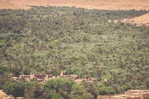 Cultivated fields and palms in Errachidia Morocco North Africa Africa photo