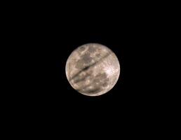 Blurred and silhouette of tree branch on  full moon with night time background. photo