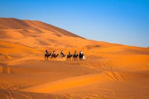 Camel caravan going through the sand dunes in the Sahara Desert, Merzouga, Morocco photo