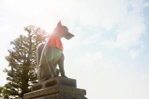 Kyoto City, JAPAN, 2018 - Fox statue of Fushimi Inari Shrine on sunny day with blue sky background. In Japanese folk legend story that the fox represents the Inari god give exuberance to human. photo