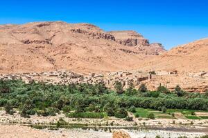 amplio ver de cultivado campos y palmas en erraquidia Marruecos norte África África, profundo azul cielo foto