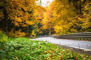 Autumn landscape with road and beautiful colored trees photo