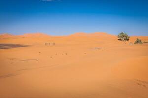 Sand Dunes in the Sahara Desert, Merzouga, Morocco photo