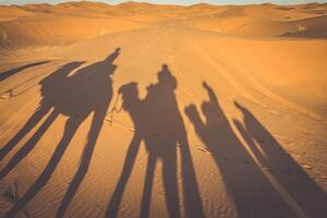 Caravan camels walking shadows projected over orange sand dunes photo