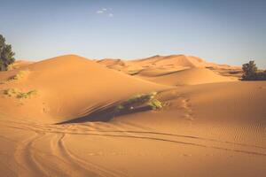 Desert dune at Erg Chebbi near Merzouga in Morocco. photo