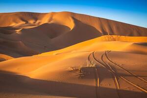 Desert dune at Erg Chebbi near Merzouga in Morocco. photo