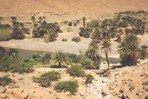 Wide view of cultivated fields and palms in Errachidia Morocco North Africa Africa, deep blue sky photo