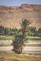 Wide view of canyon and cultivated fields and palms in Errachidia Valley Morocco North Africa Africa photo