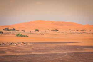 Sand Dunes in the Sahara Desert, Merzouga, Morocco photo