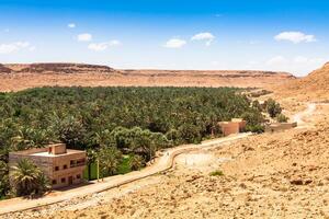 un pueblo a un oasis a el fondo de un cañón en el atlas montañas, Marruecos foto