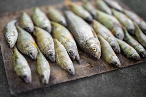 un hermosa captura de pescado puesto fuera por un pescador en un tablero foto