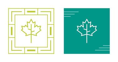 Maple leaf Vector Icon