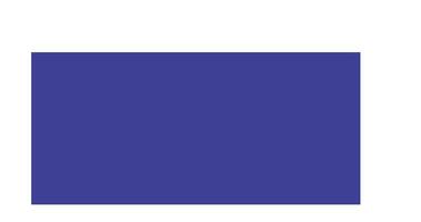 Browser Vector Icon