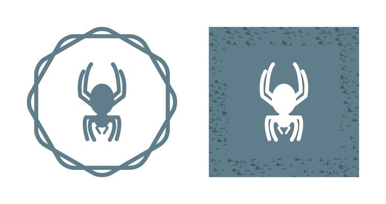Spider Vector Icon