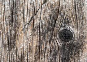 cerca arriba textura de de madera tablero para antecedentes diseño foto