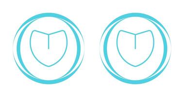 Shield Vector Icon