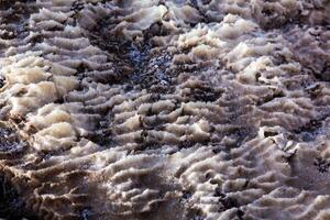 View of Dead Sea coastline at sunset time in Jordan. Salt crystals at sunset. Dead sea landscape with mineral structures. photo