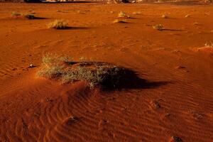 Wadi Rum Desert in Jordan. On the Sunset. Panorama of beautiful sand pattern on the dune. Desert landscape in Jordan. photo