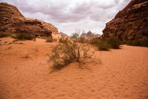 Wadi Rum Desert in Jordan. On the Sunset. Panorama of beautiful sand pattern on the dune. Desert landscape in Jordan. photo