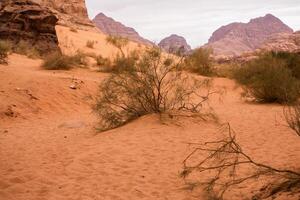 Wadi Rum Desert in Jordan. On the Sunset. Panorama of beautiful sand pattern on the dune. Desert landscape in Jordan. photo