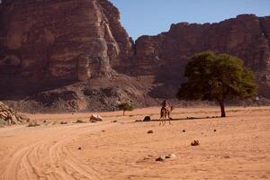 Wadi Rum Desert in Jordan. On the Sunset. Panorama of beautiful sand pattern on the dune. Desert landscape in Jordan. photo