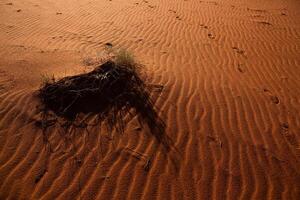 Wadi Rum Desert in Jordan. On the Sunset. Panorama of beautiful sand pattern on the dune. Desert landscape in Jordan. photo