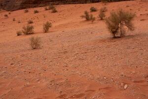 Wadi Rum Desert in Jordan. On the Sunset. Panorama of beautiful sand pattern on the dune. Desert landscape in Jordan. photo