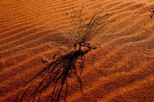 Wadi Rum Desert in Jordan. On the Sunset. Panorama of beautiful sand pattern on the dune. Desert landscape in Jordan. photo