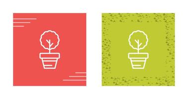 Myrtus Vector Icon