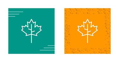 Maple leaf Vector Icon